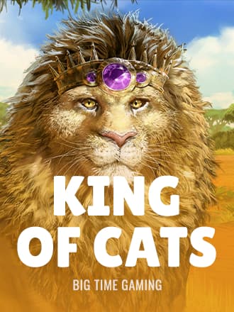 King of Cats