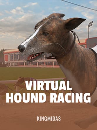 Virtual Hound Racing