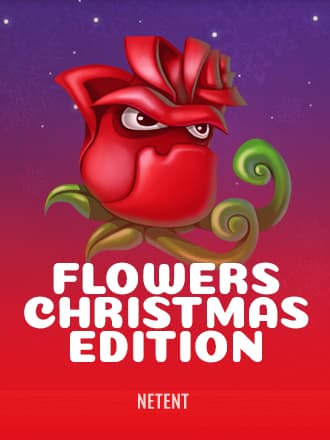 Flowers Christmas Edition